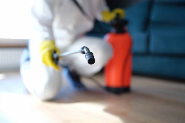 Best Biohazard Mold Removal  in Haslett, MI