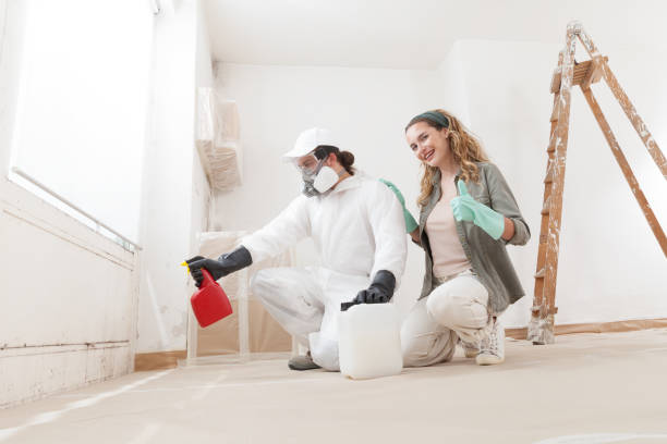 Best Mold Remediation for Healthcare Facilities  in Haslett, MI